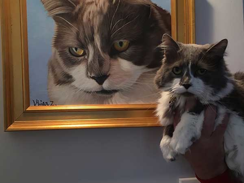 CAT POP ART CANVAS PRINT PICTURE WALL ART FREE UK DELIVERY VARIETY OF SIZES