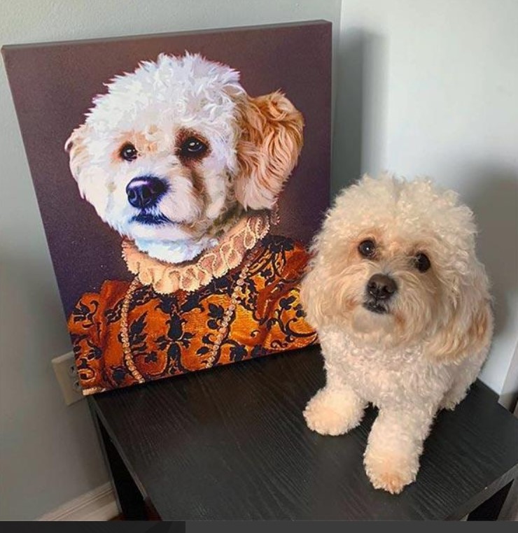 popyourpup